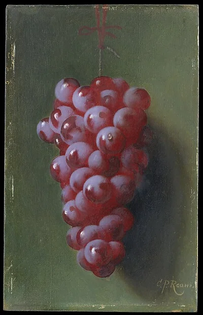 Still Life with Grapes by Carducius Plantagenet Ream