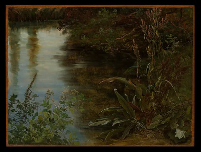 Study of Water and Plants by Thomas Fearnley